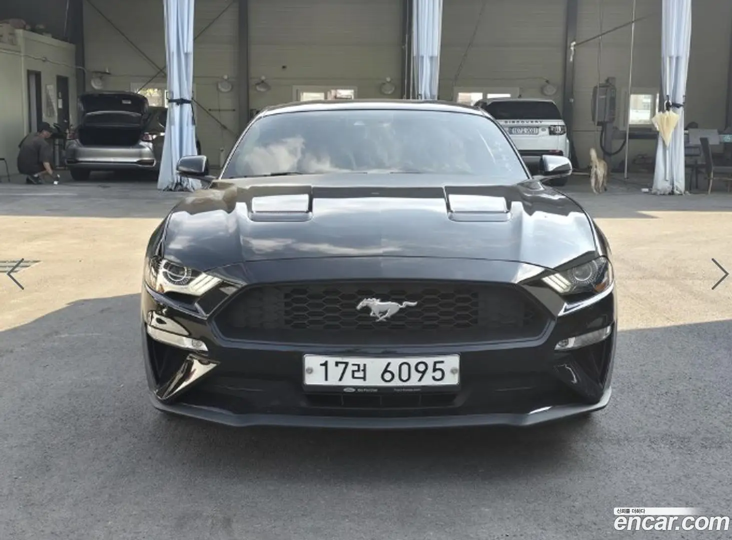 Ford Mustang Coupe