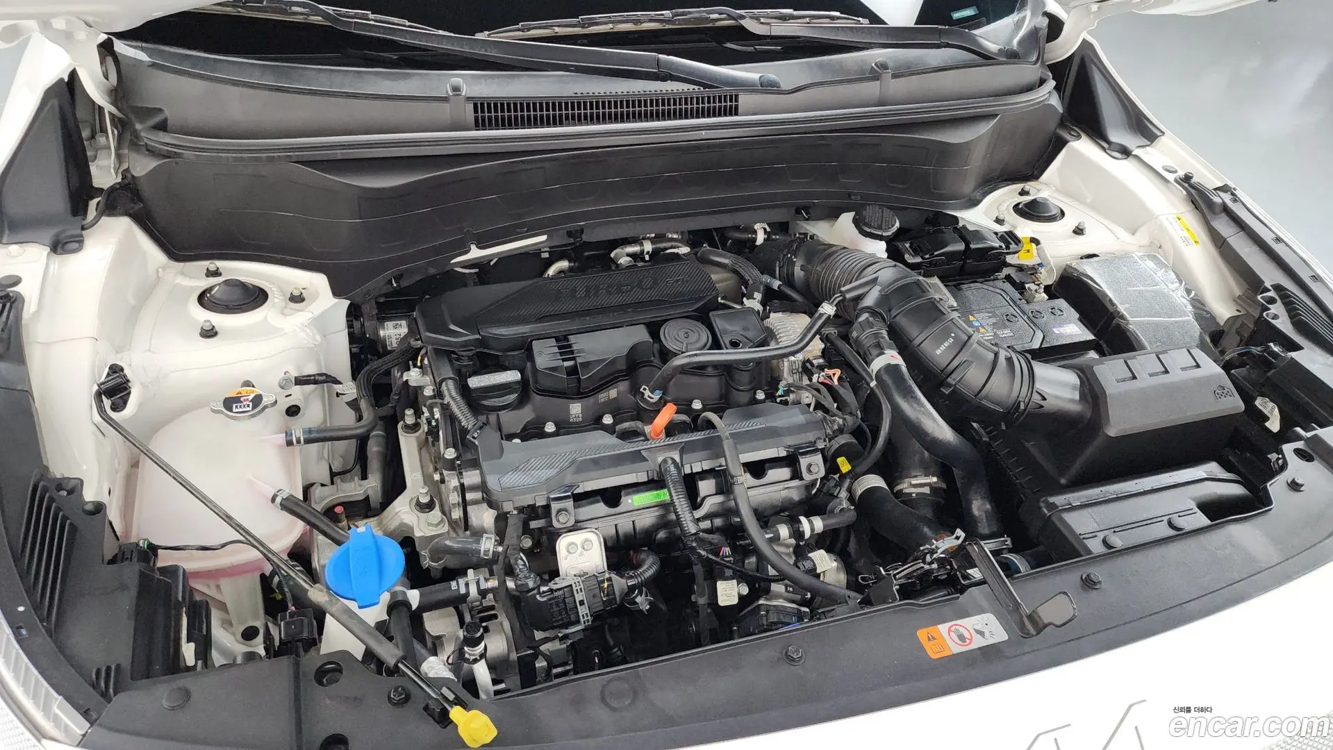Kia Seltos Gasoline 1.6 Turbo 2WD 2024