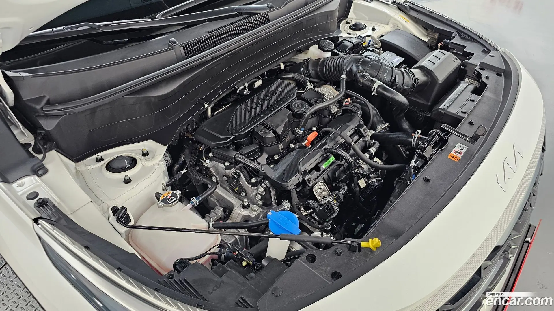 Kia Seltos Gasoline 1.6 Turbo 2WD 2024