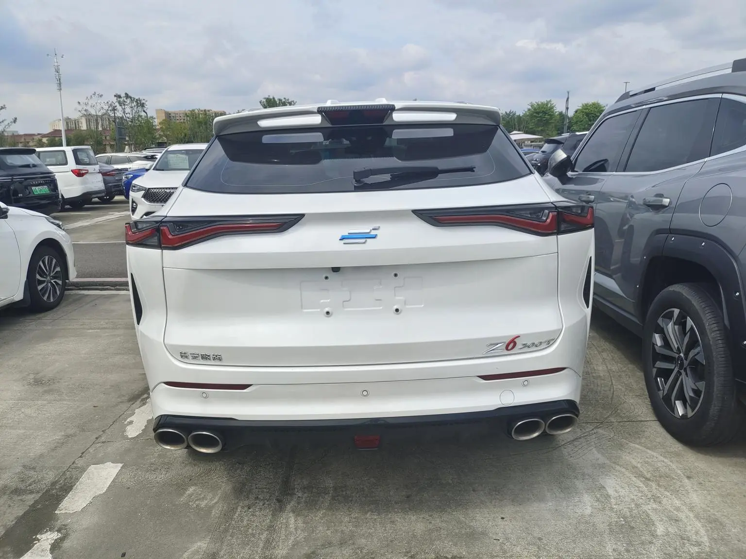 Changan Oshan Z6 2023 Blue Whale 1.5T DCT Smart Leading