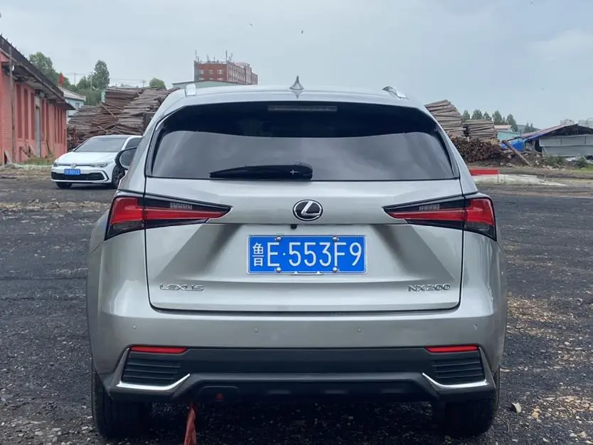 Lexus NX 2020 200 China V