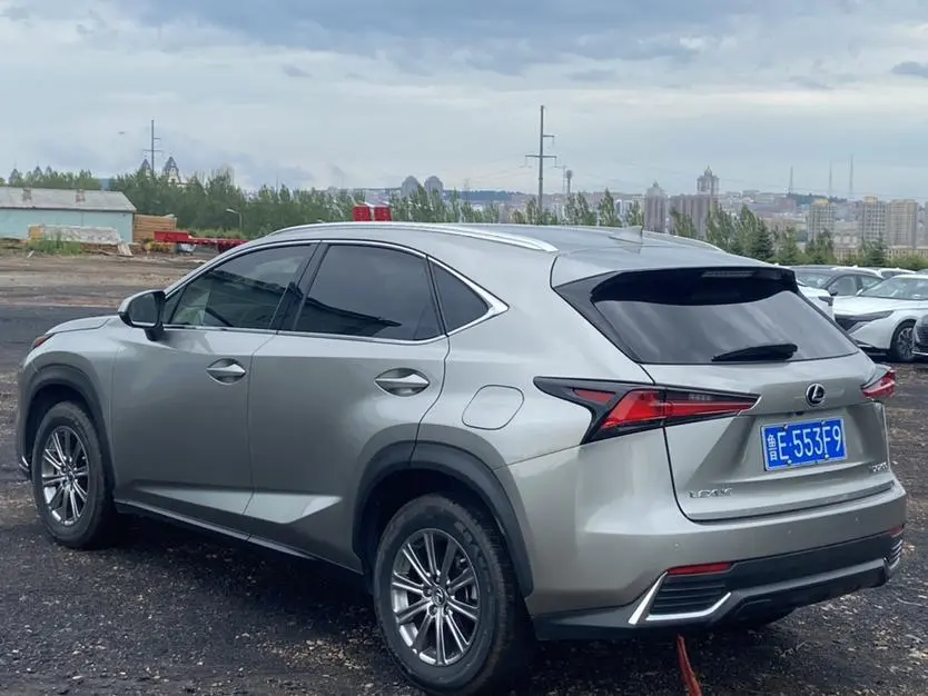 Lexus NX 2020 200 China V