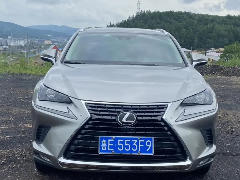 Lexus NX 2020 200 China V
