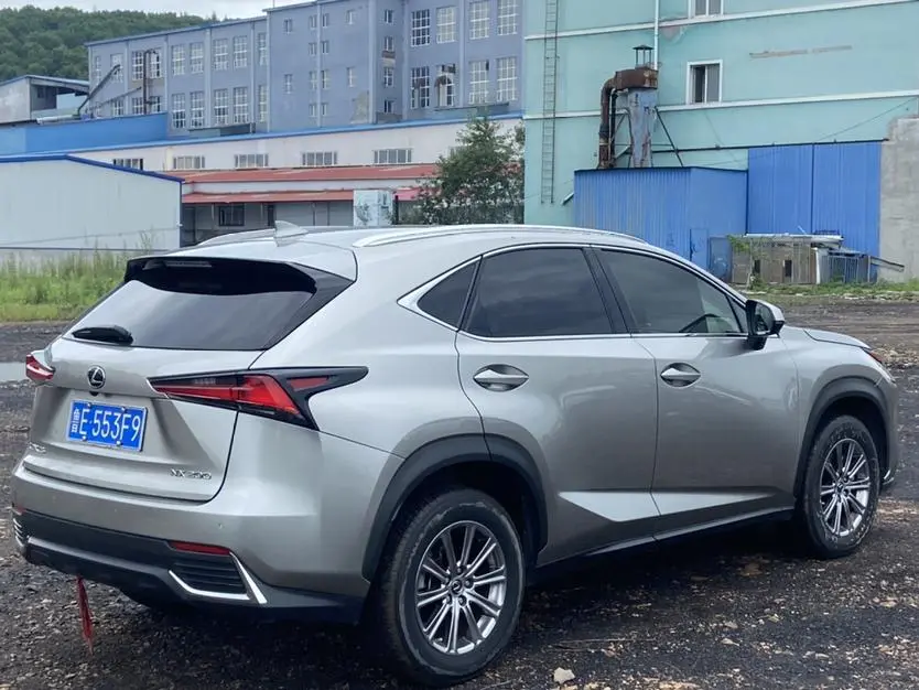 Lexus NX 2020 200 China V