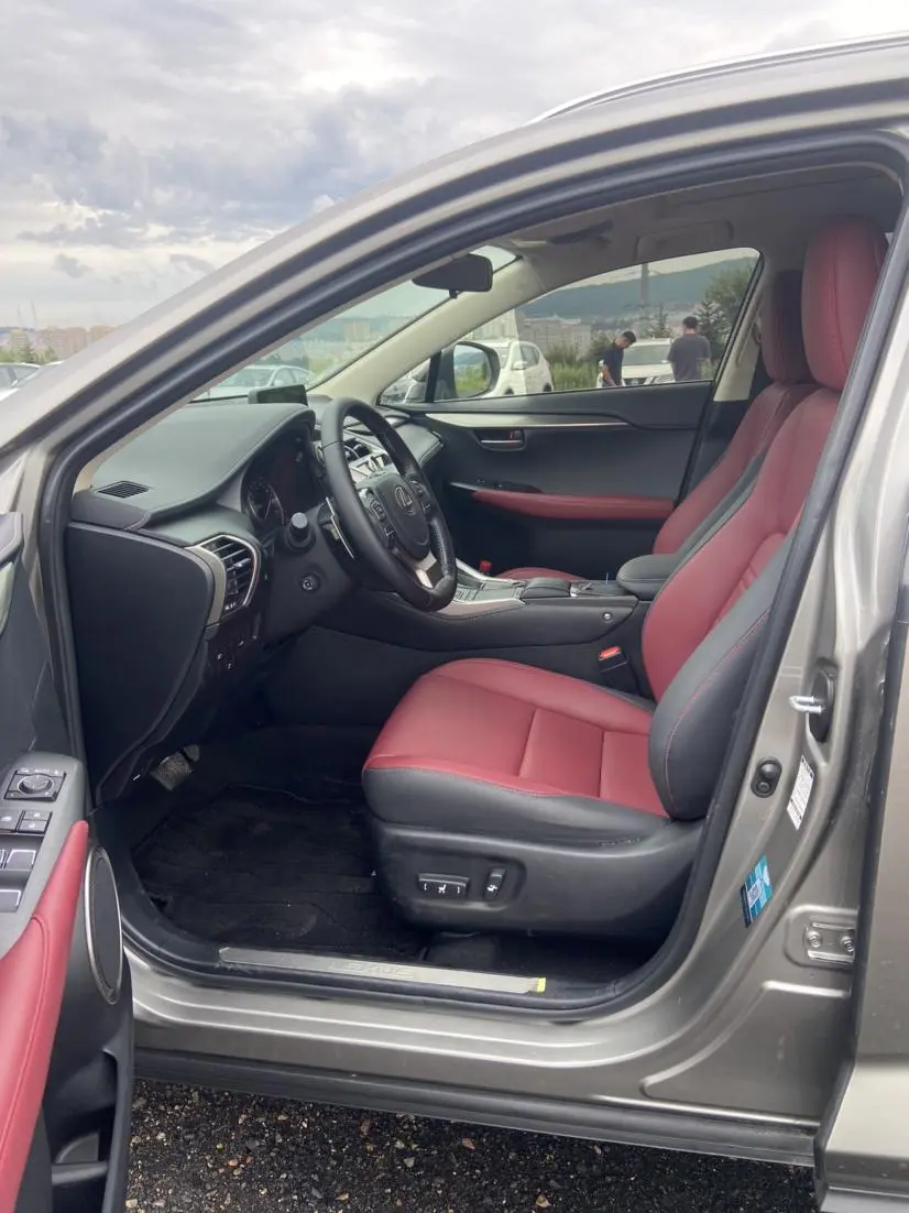 Lexus NX 2020 200 China V