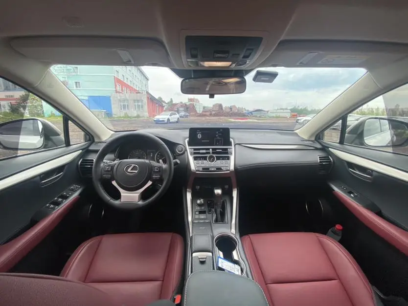 Lexus NX 2020 200 China V