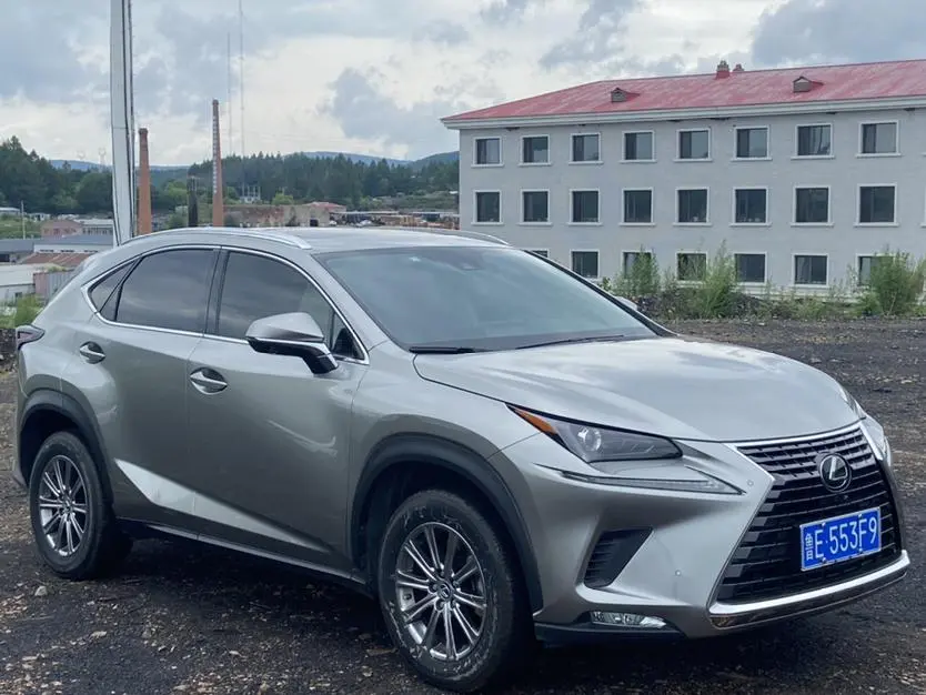 Lexus NX 2020 200 China V