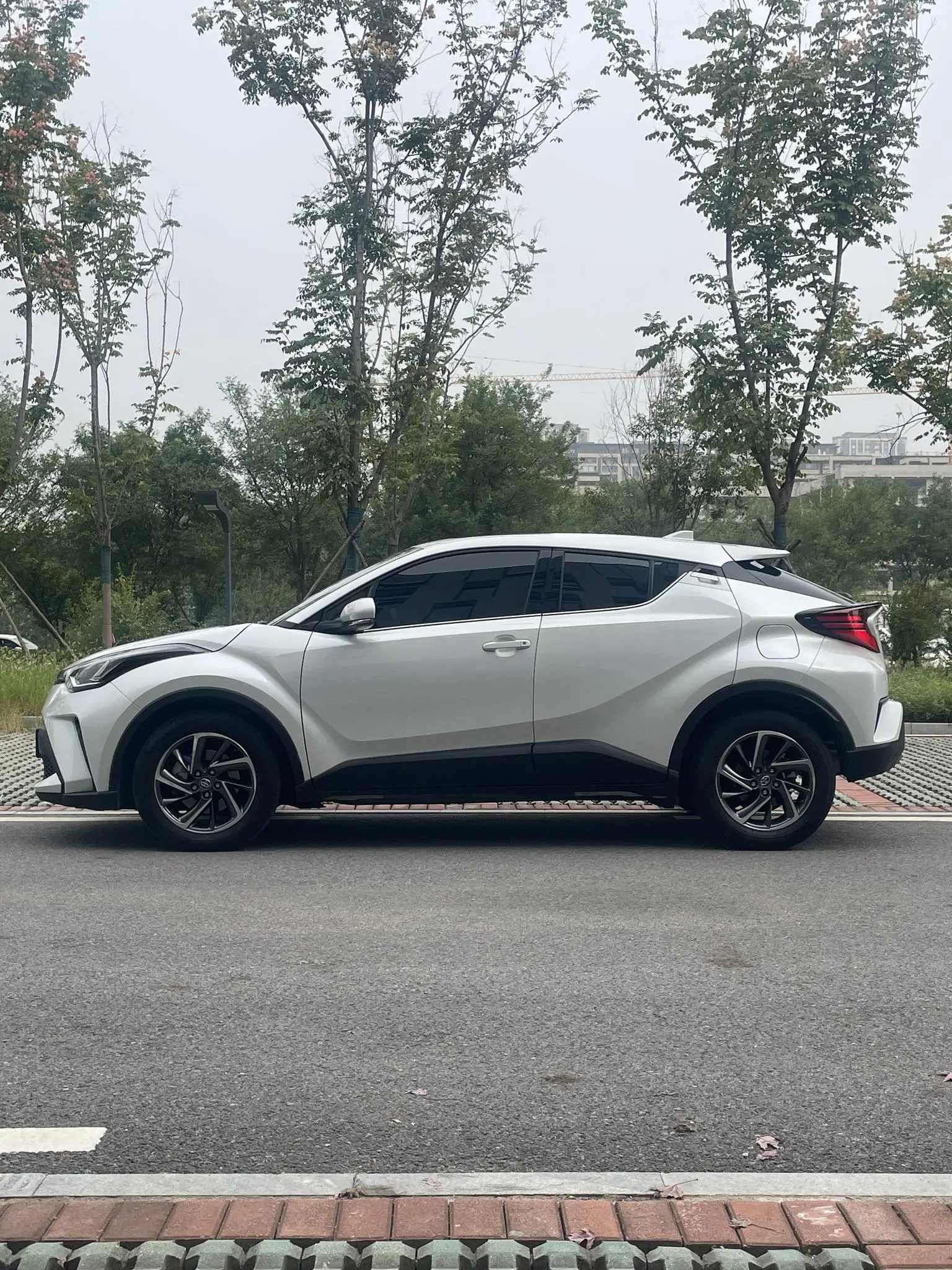 Toyota C-HR 2021 2.0L Luxury