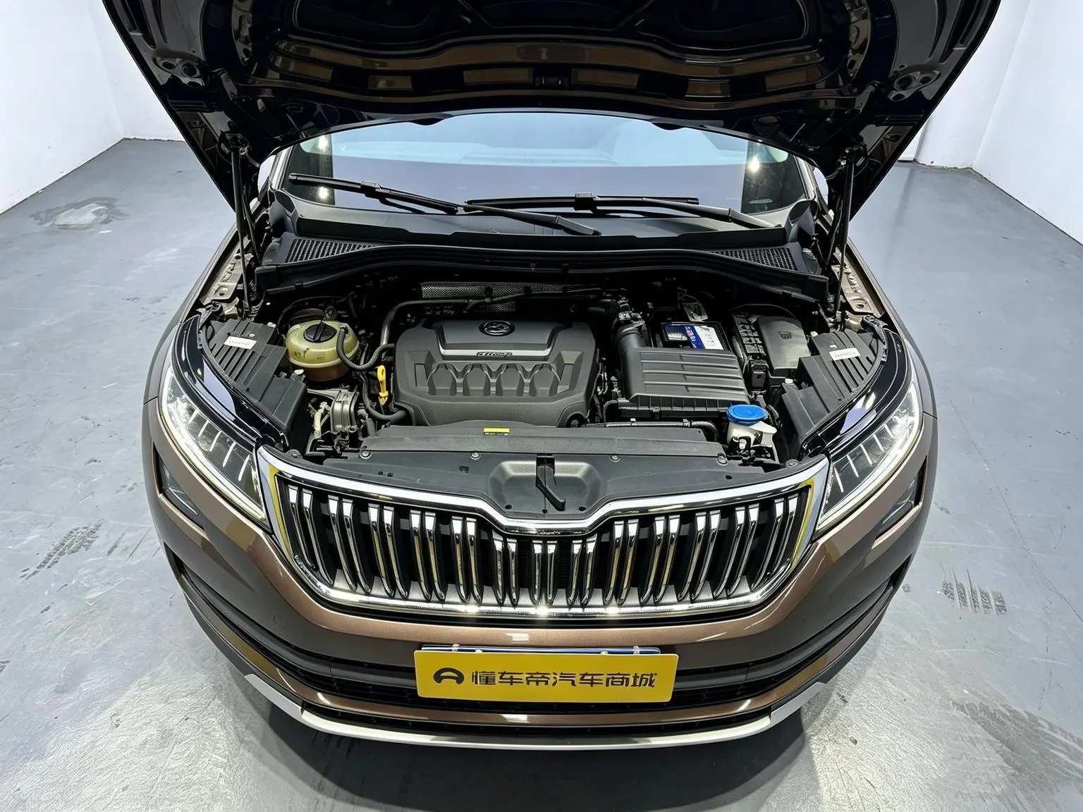 Skoda 2018 Facelift TSI330 5 seat 2WD Luxury Premium Enjoy
