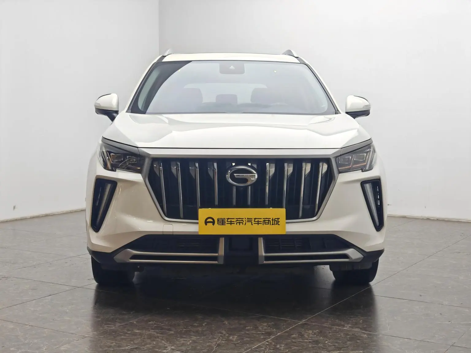 GAC Trumpchi Trumpchi GS4 PLUS 2022 390T Auto Star