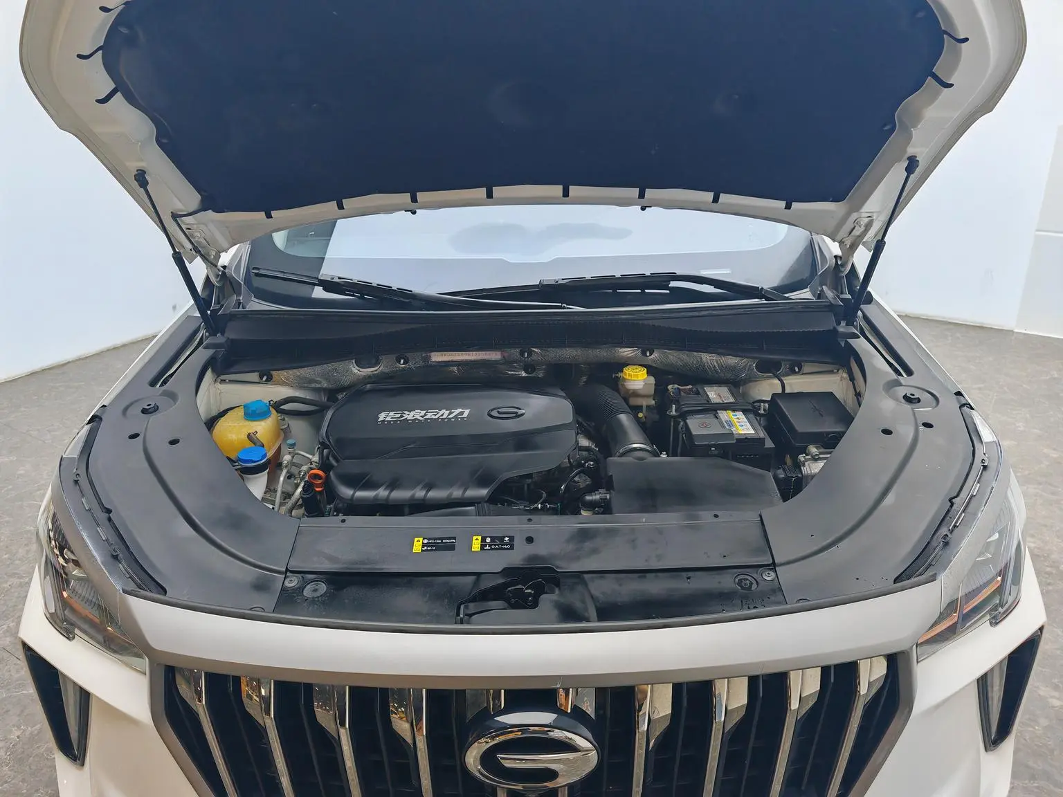 GAC Trumpchi Trumpchi GS4 PLUS 2022 390T Auto Star