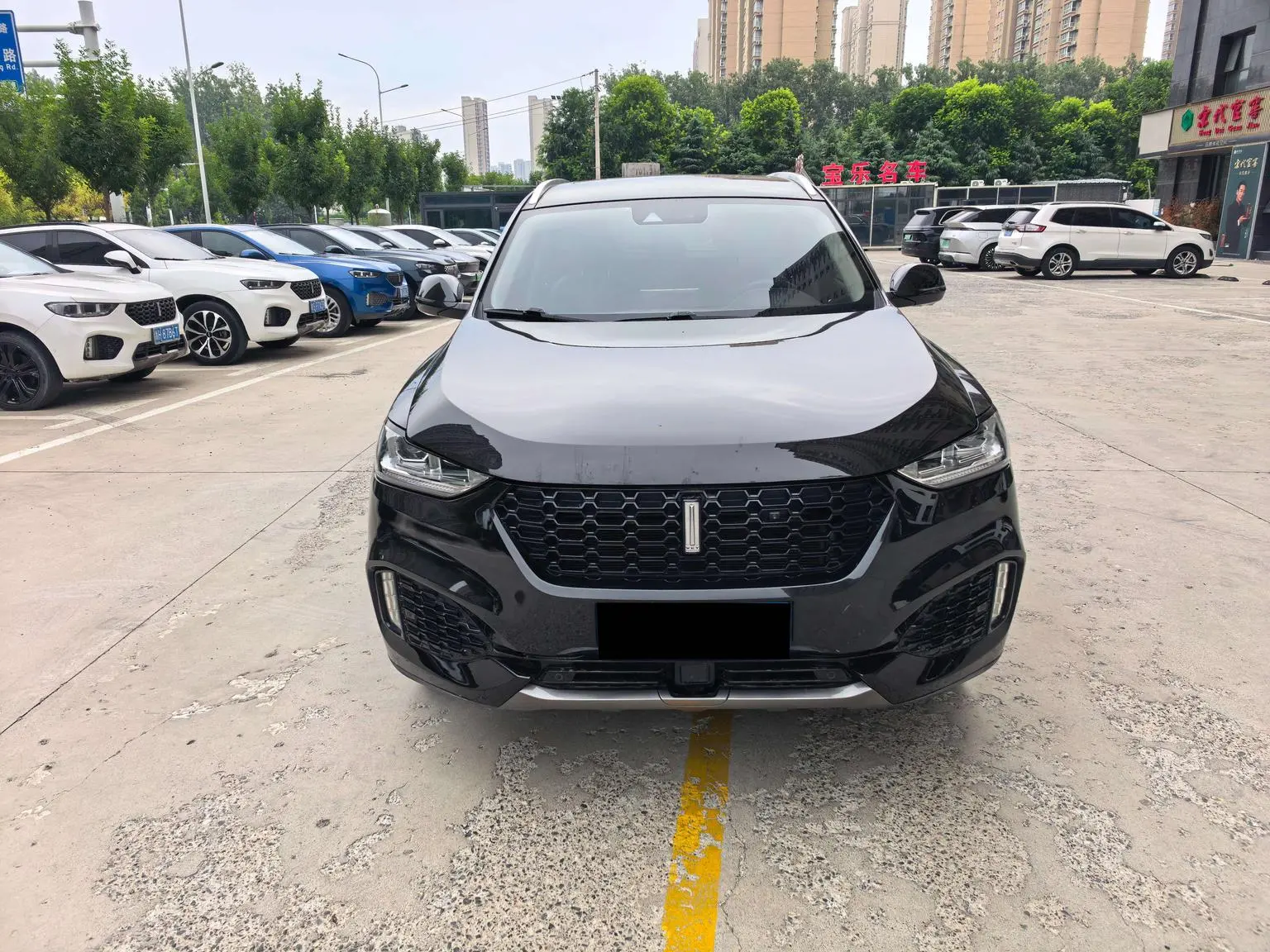 WEY VV6 2018 2.0T 2WD China V