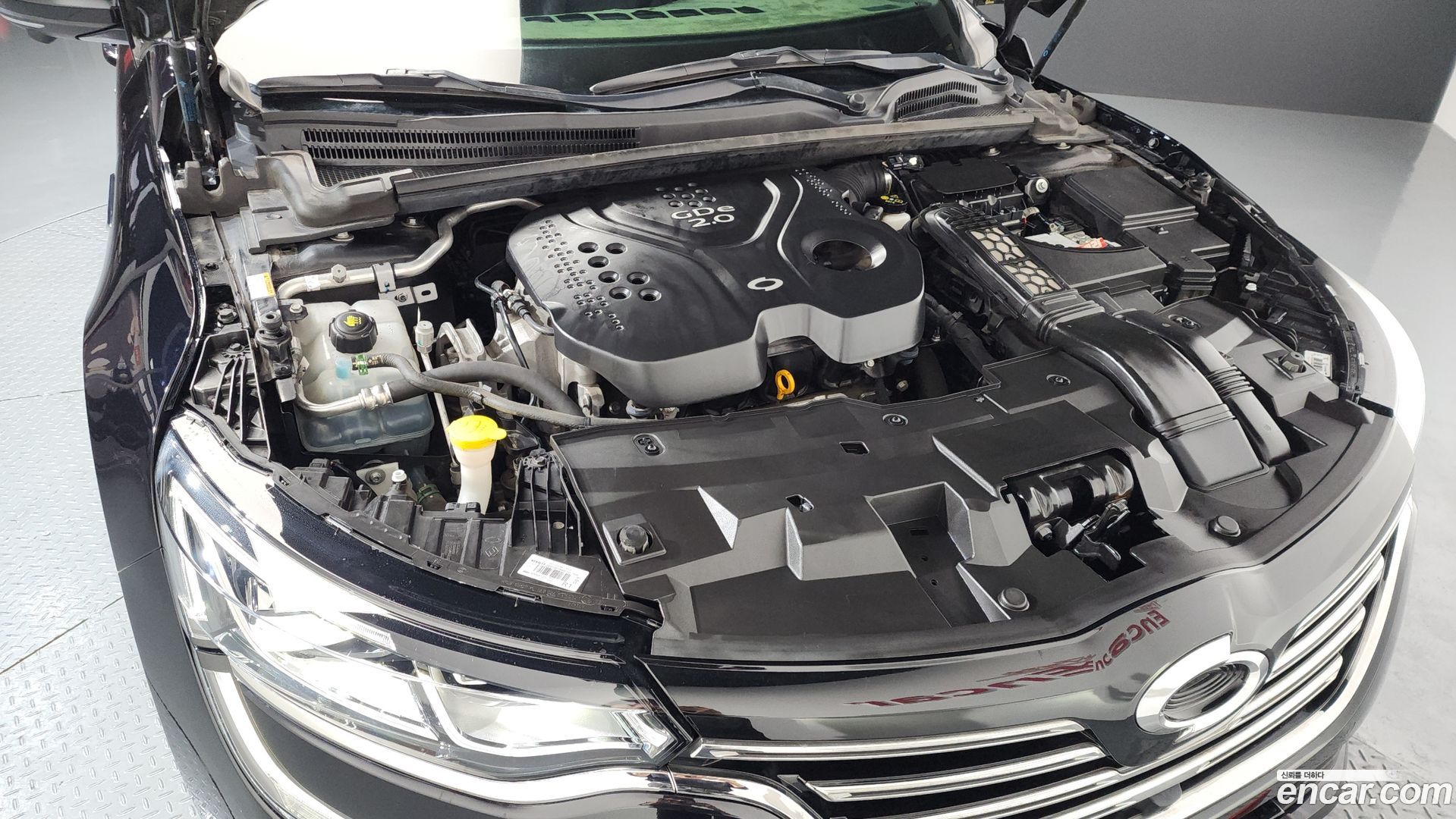 Renault Korea SM6 2.0 GDe RE 2016