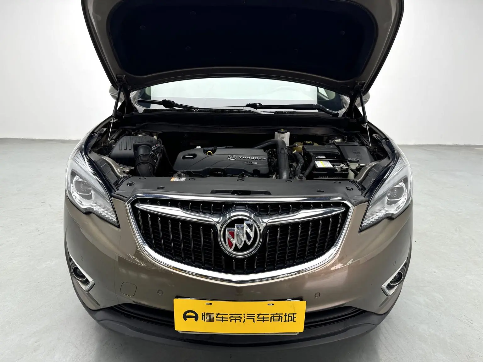 Buick Envision 2019 20T 2WD Luxury China VI