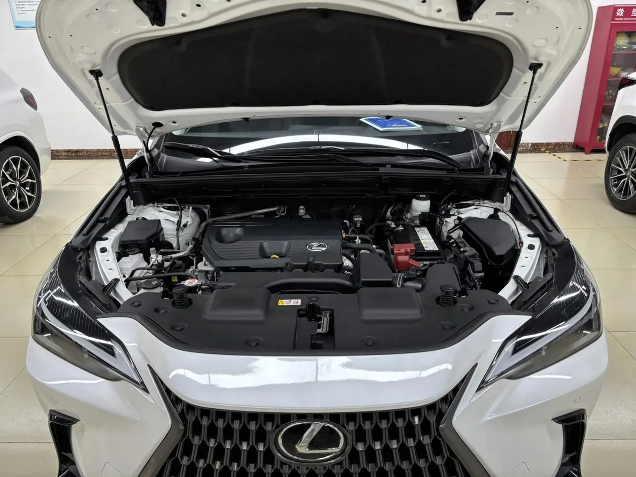 Lexus NX 2023 260 FWD