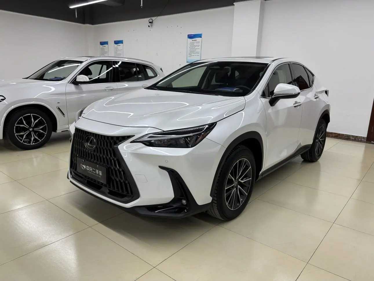 Lexus NX 2023 260 FWD