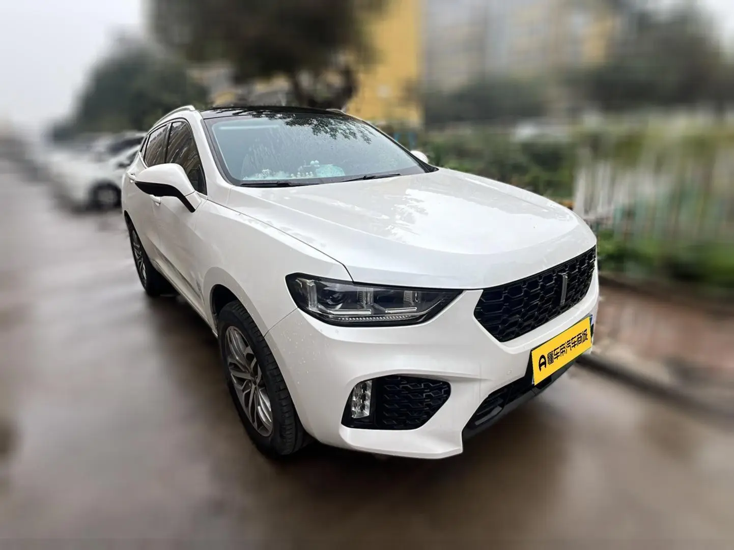 WEY VV5 2019 Upgrade 2.0T 2WD China VI