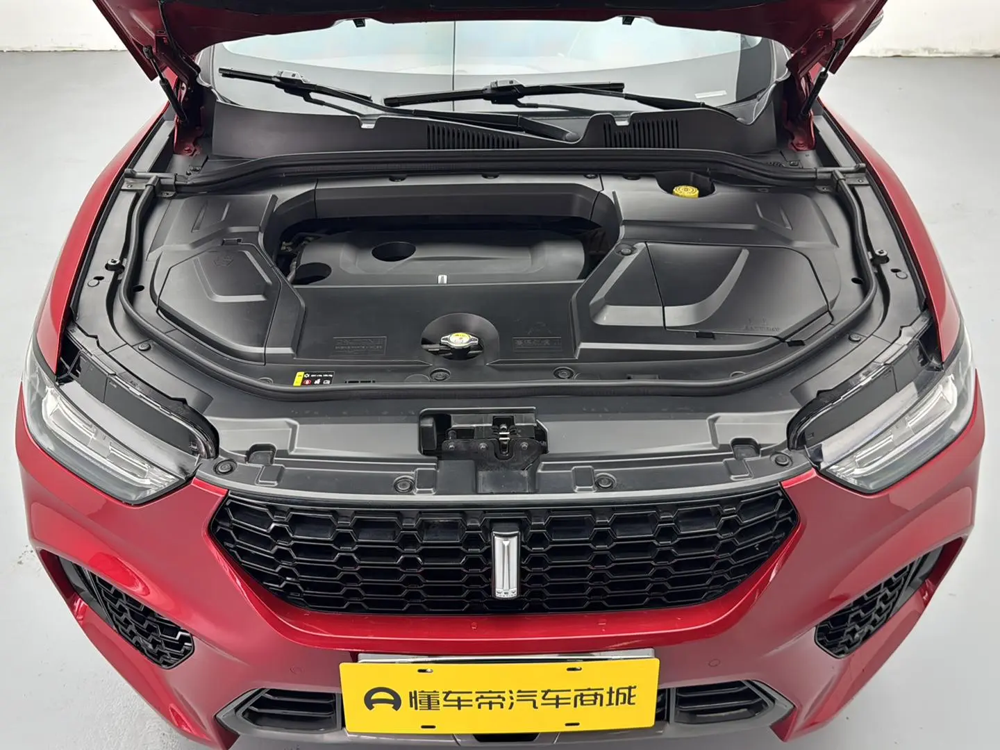 WEY VV5 2019 Upgrade 2.0T 2WD Flagship China V
