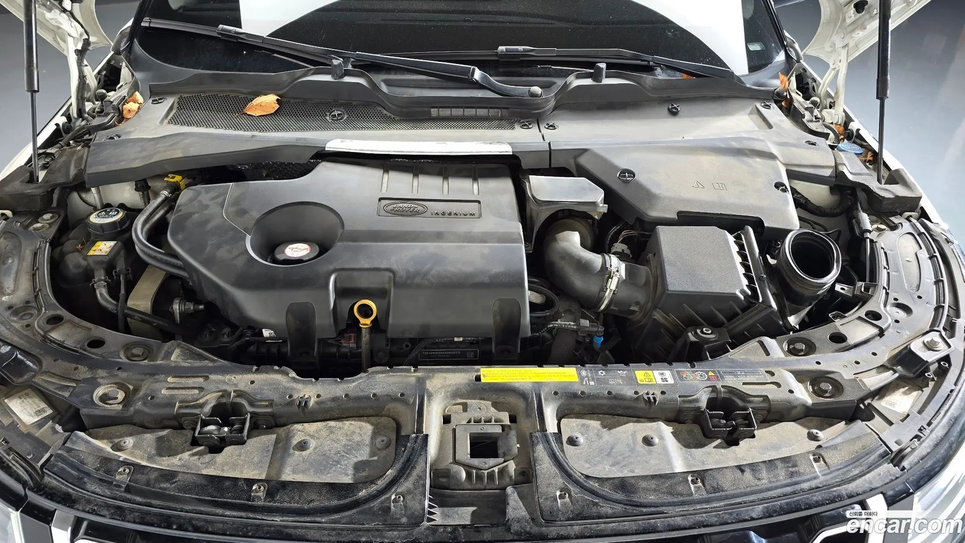 Land Rover Range Rover Evoque D180 SE