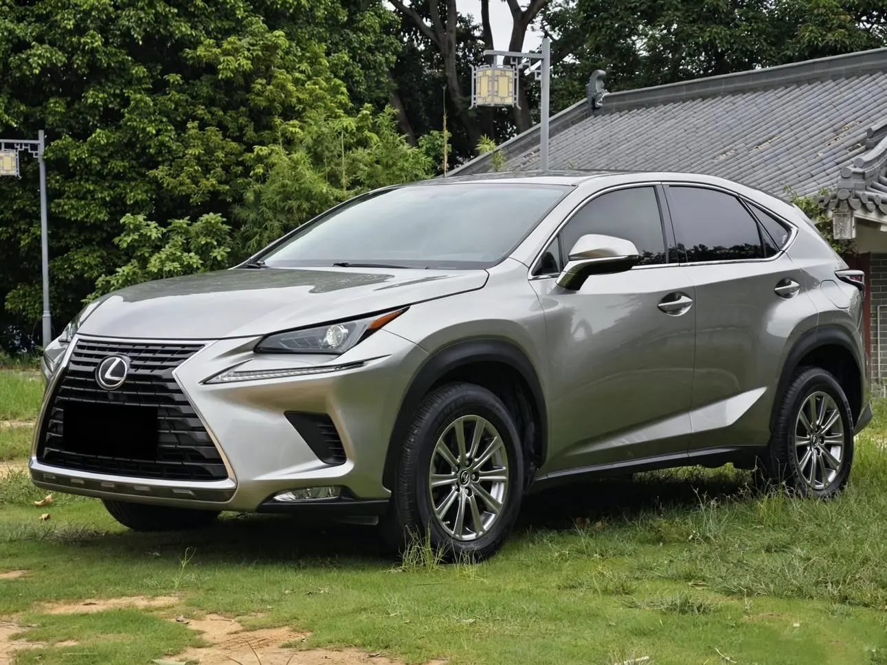 Lexus NX 2020 200 FWD China VI