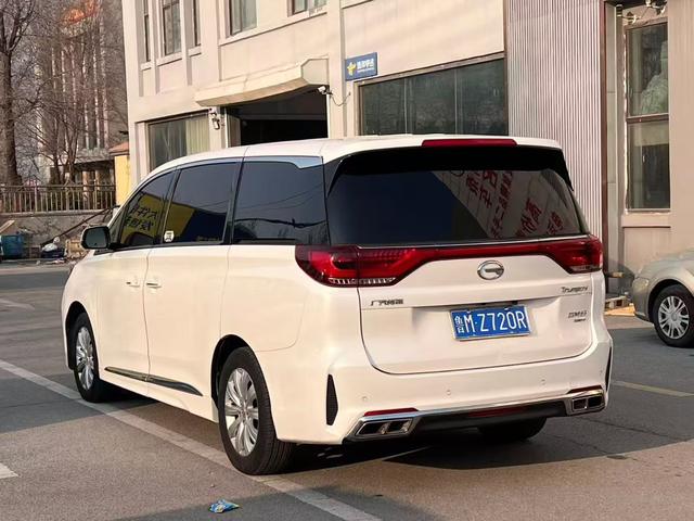 GAC Trumpchi Trumpchi M8 2020 pilot 390T Premium Plus