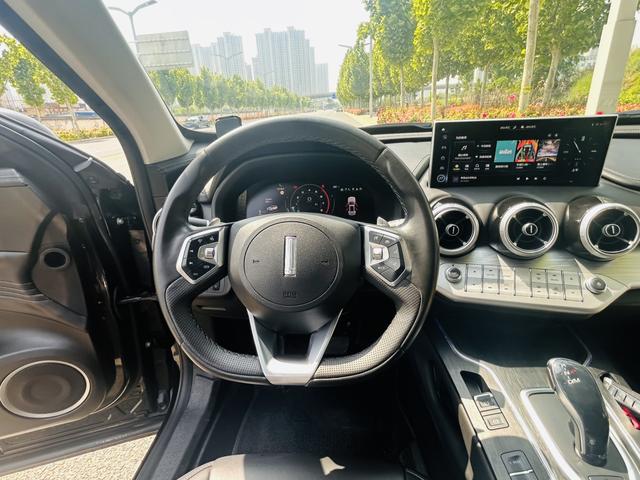 WEY VV7 2020 2.0T super rich