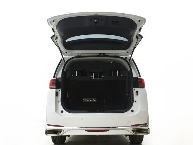 GAC Trumpchi Trumpchi M8 2023 Lead the show Series 390T Luxury