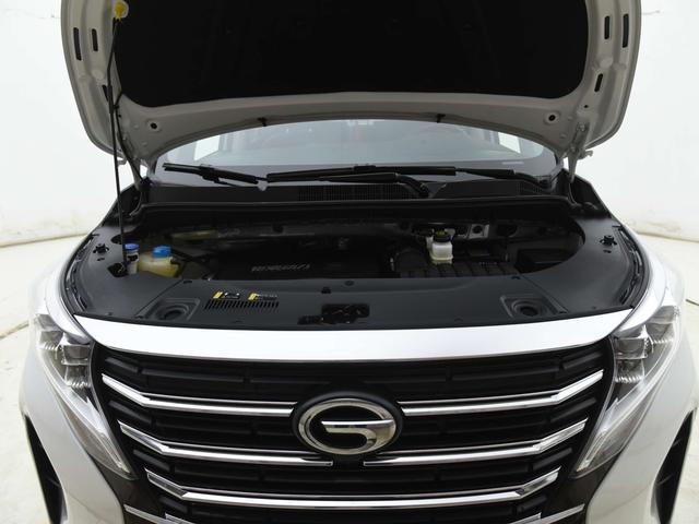 GAC Trumpchi Trumpchi M8 2023 Lead the show Series 390T Luxury
