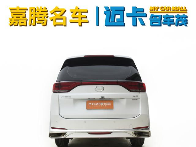 GAC Trumpchi Trumpchi M8 2023 Lead the show Series 390T Luxury