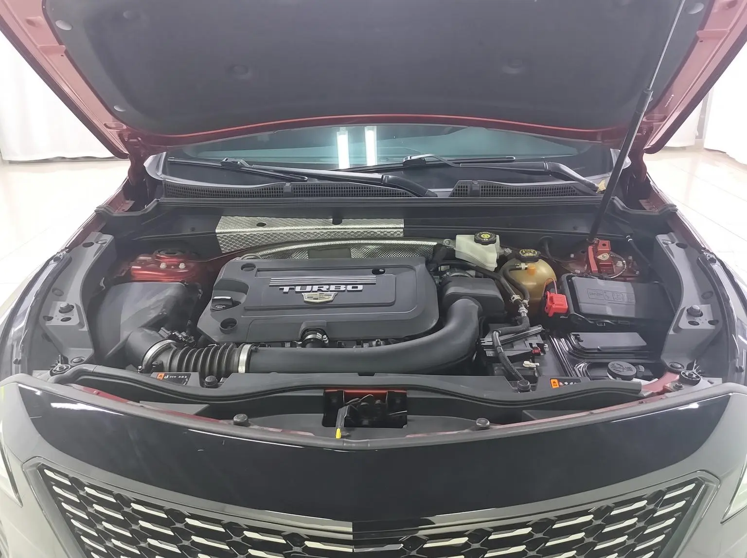 Cadillac XT4 2021 28T 2WD Luxury