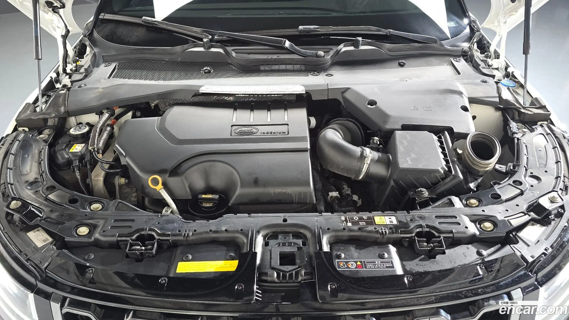 Land Rover Range Rover Evoque P250 R-Dynamic SE