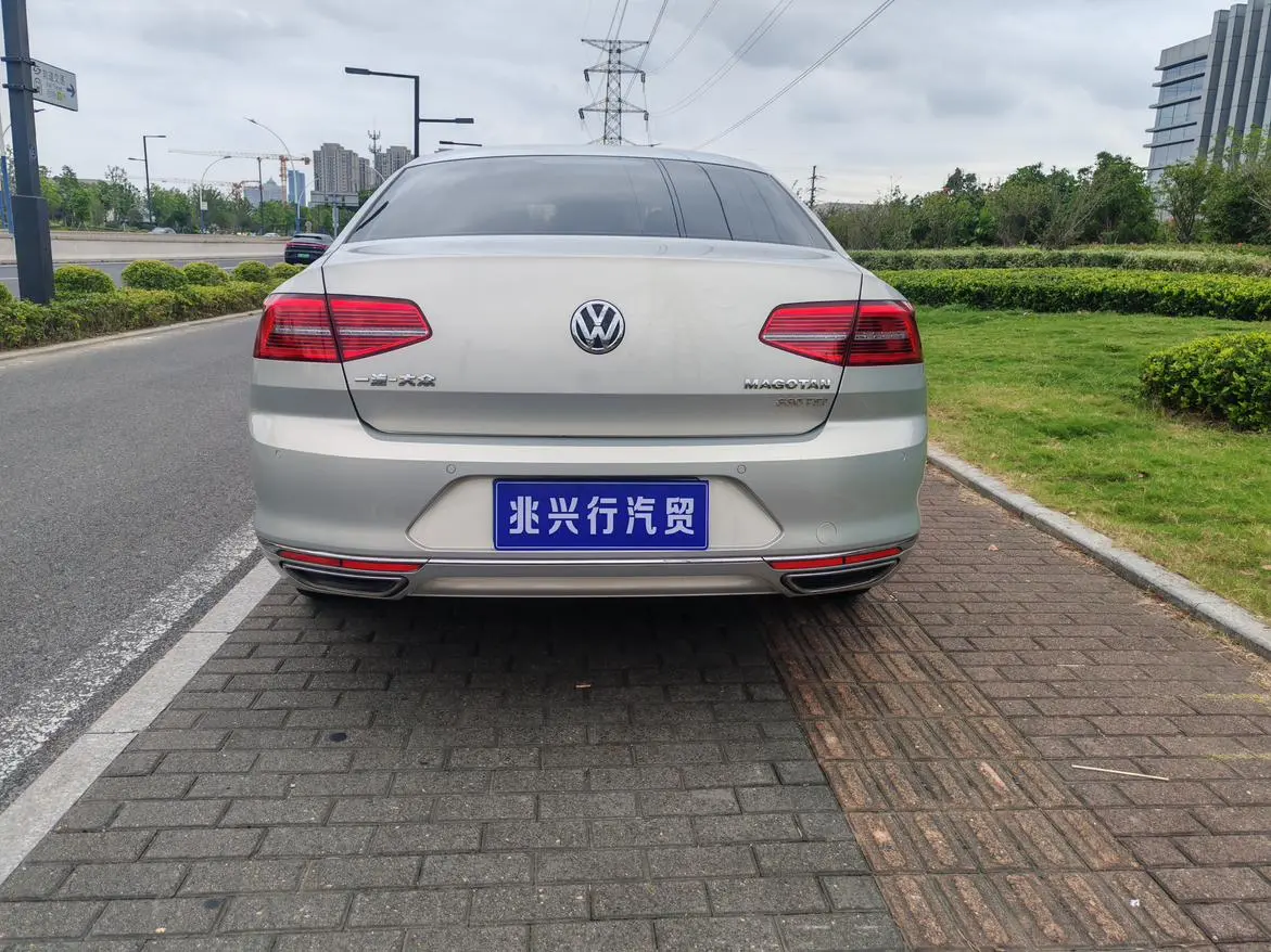 Volkswagen Magotan 2019 330TSI DSG Leading China VI