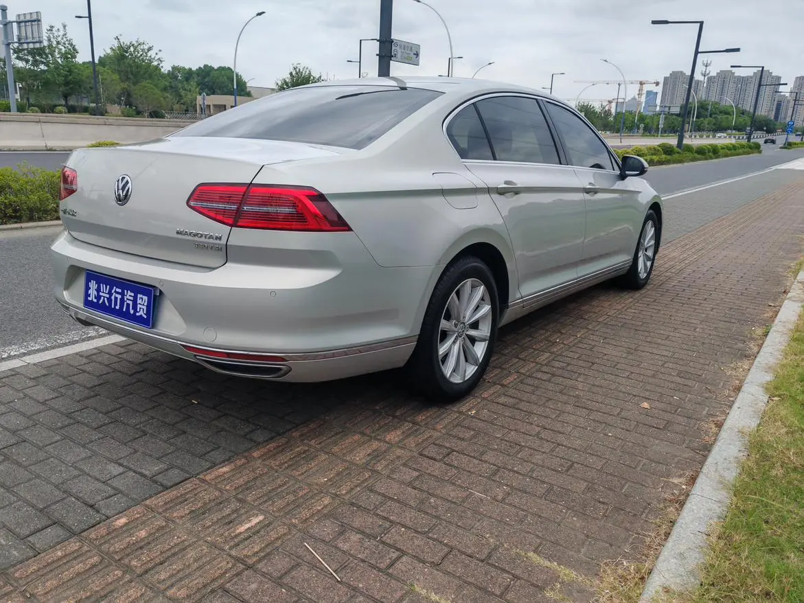 Volkswagen Magotan 2019 330TSI DSG Leading China VI