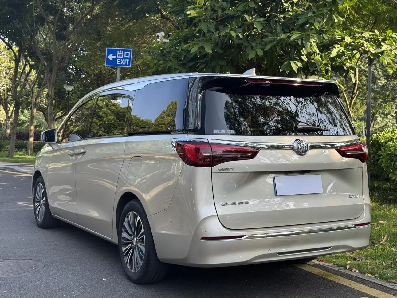 Buick GL8 2021 ES LuZun 653T Luxury
