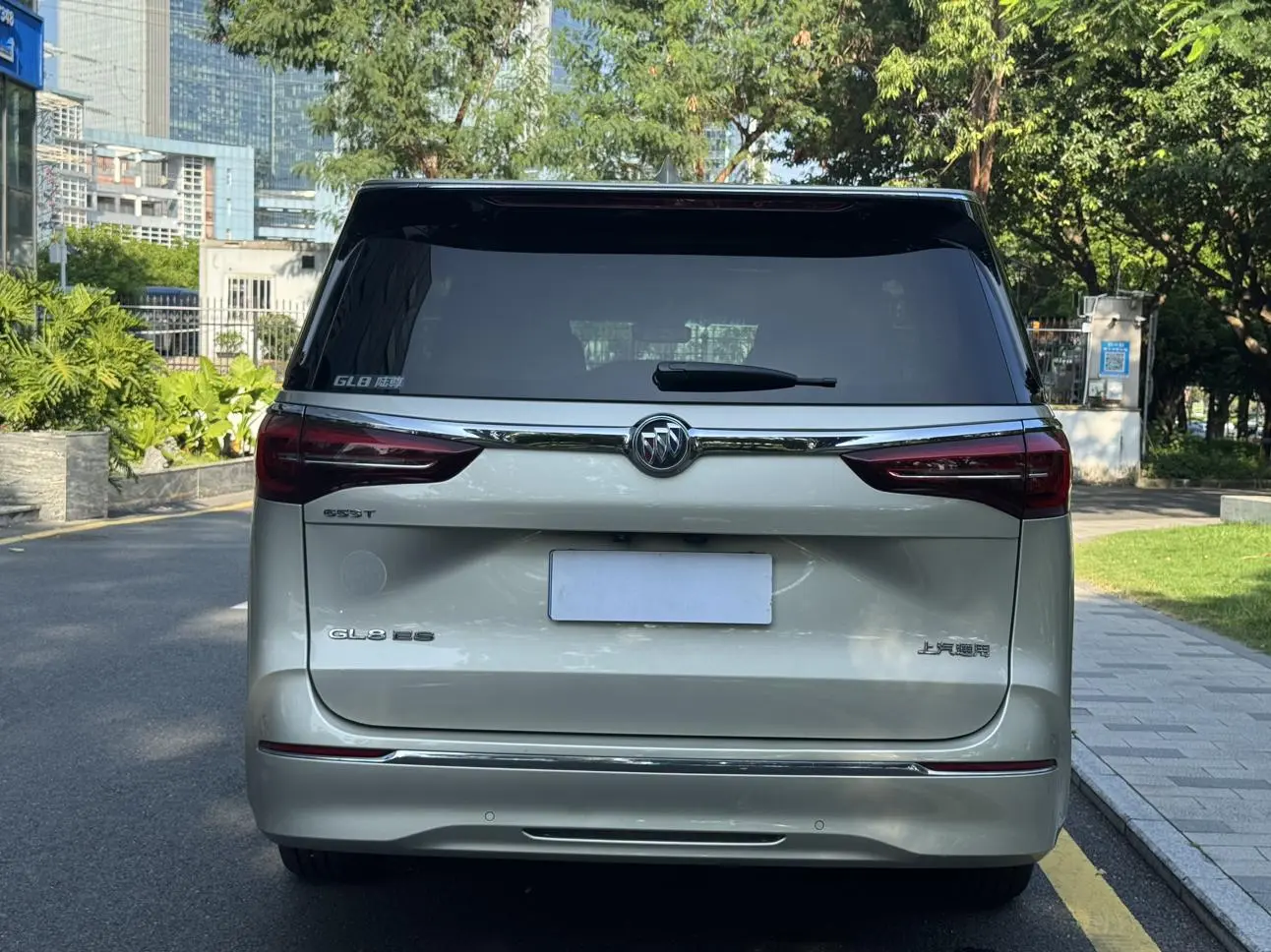 Buick GL8 2021 ES LuZun 653T Luxury