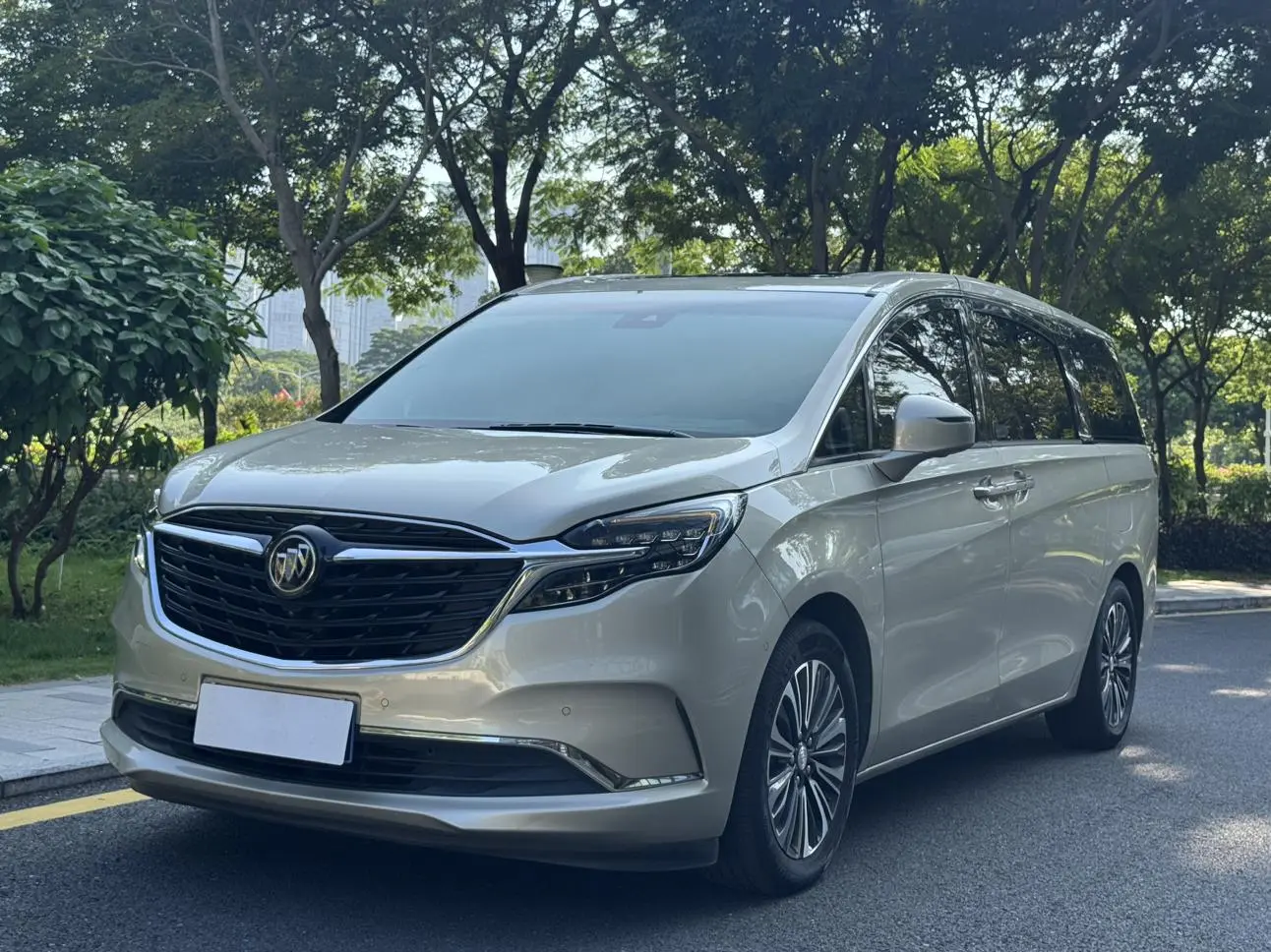 Buick GL8 2021 ES LuZun 653T Luxury