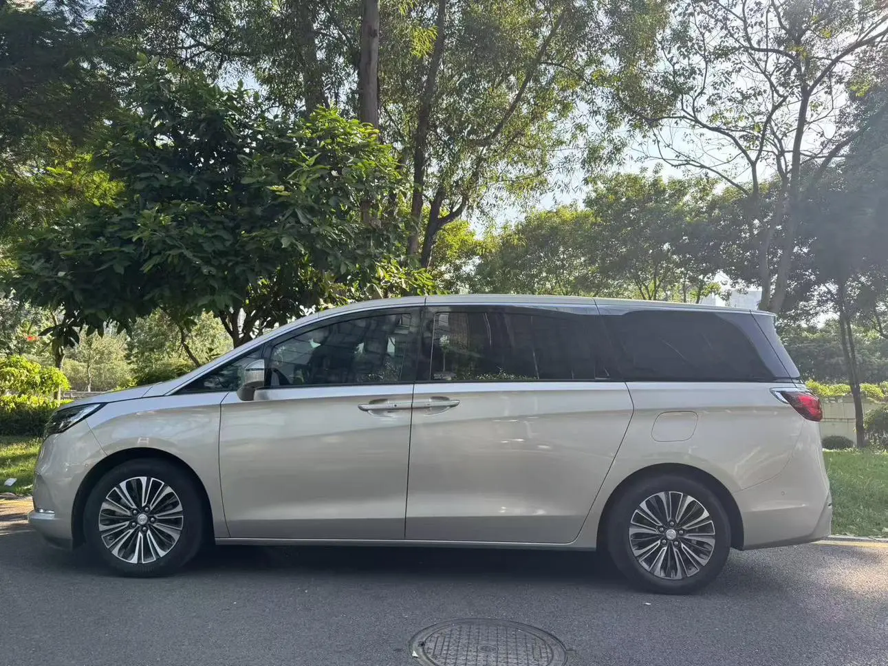 Buick GL8 2021 ES LuZun 653T Luxury
