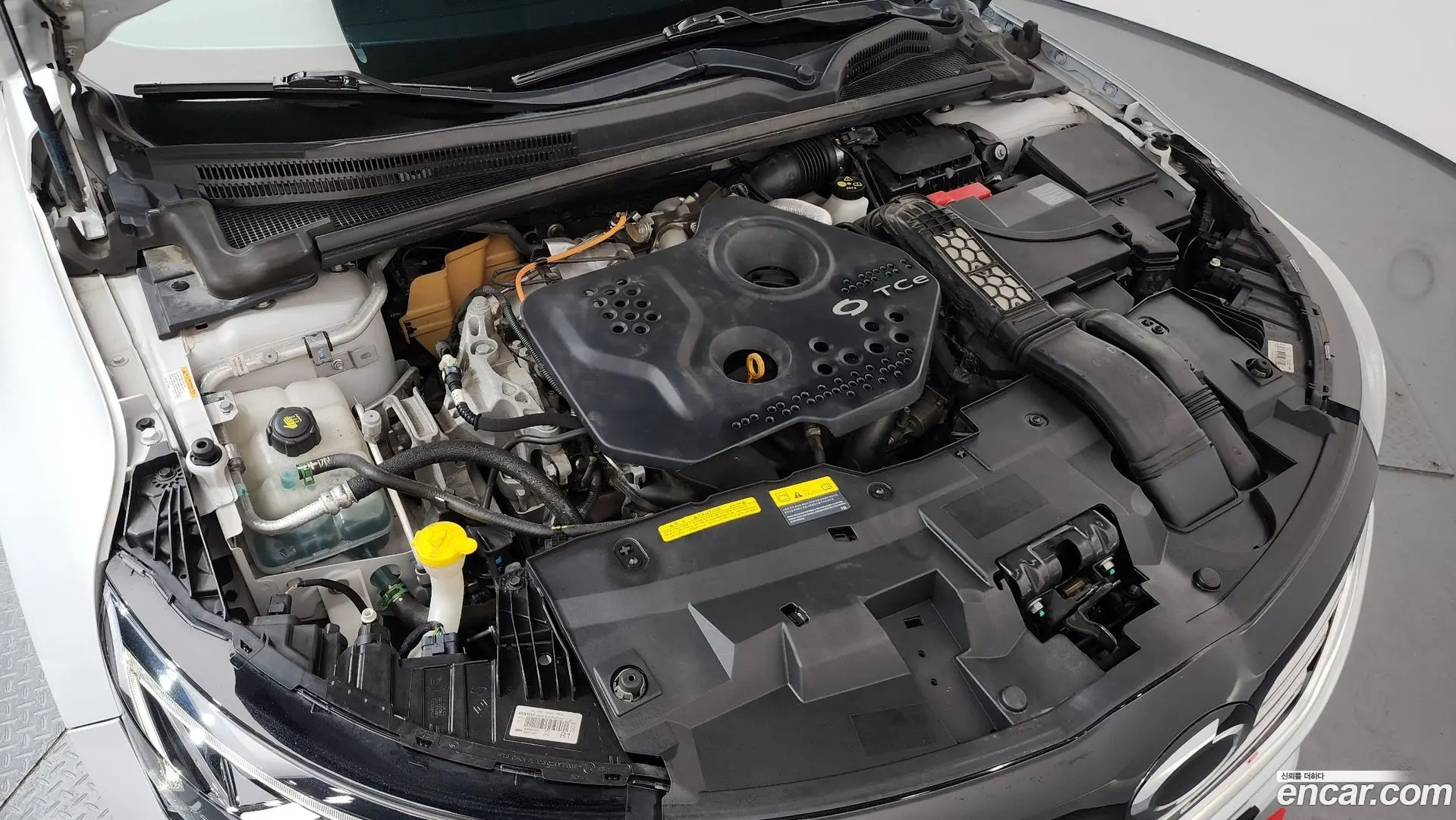 Renault Korea SM6 1.6 TCe RE
