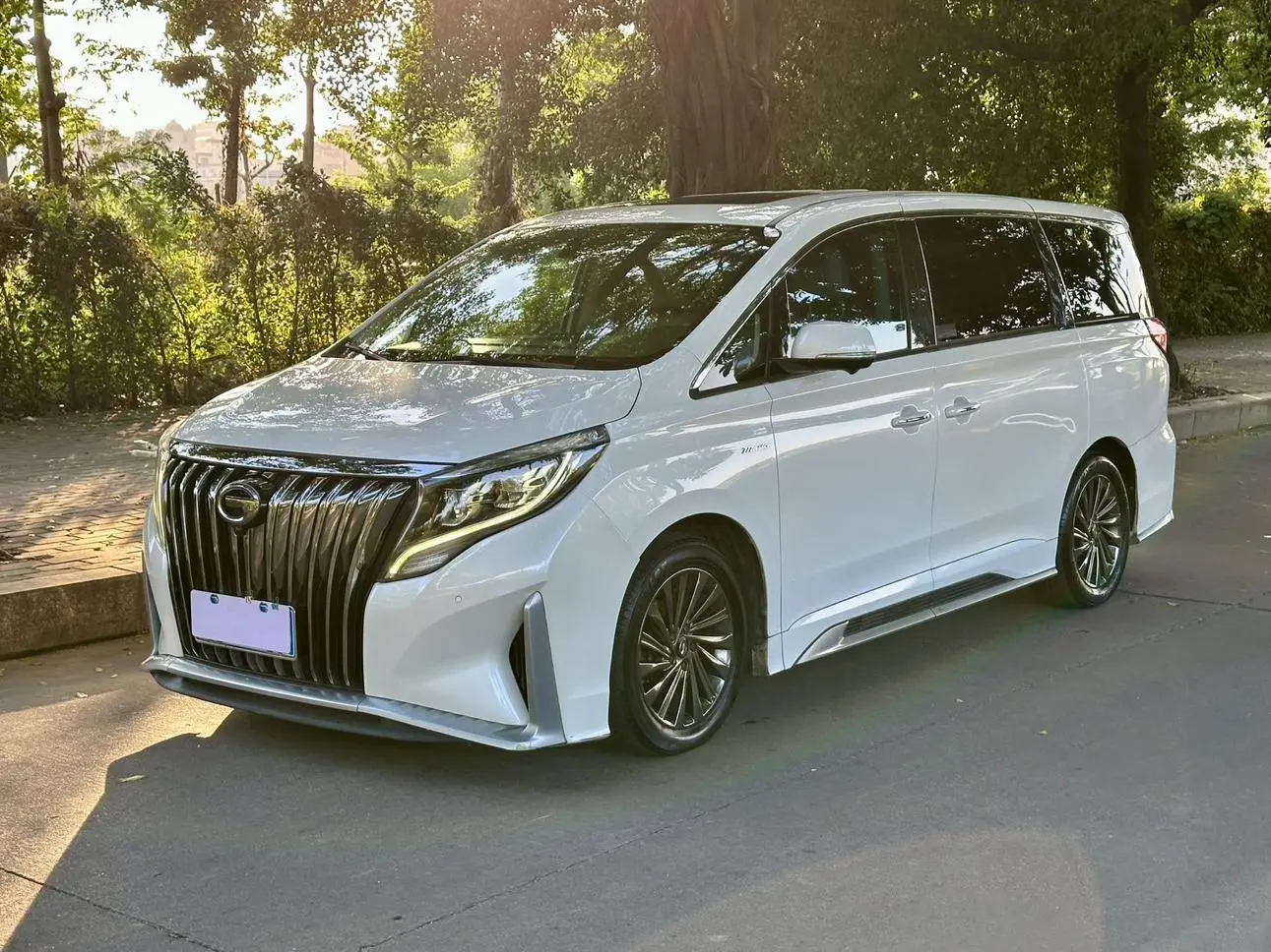 GAC Trumpchi Trumpchi M8 2021 Da Series 390T Supreme