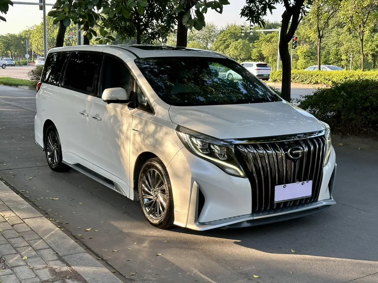 GAC Trumpchi Trumpchi M8 2021 Da Series 390T Supreme