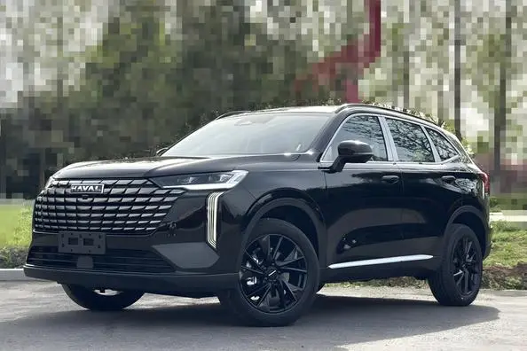 Haval H6 2024 1.5T Auto 2WD Pro