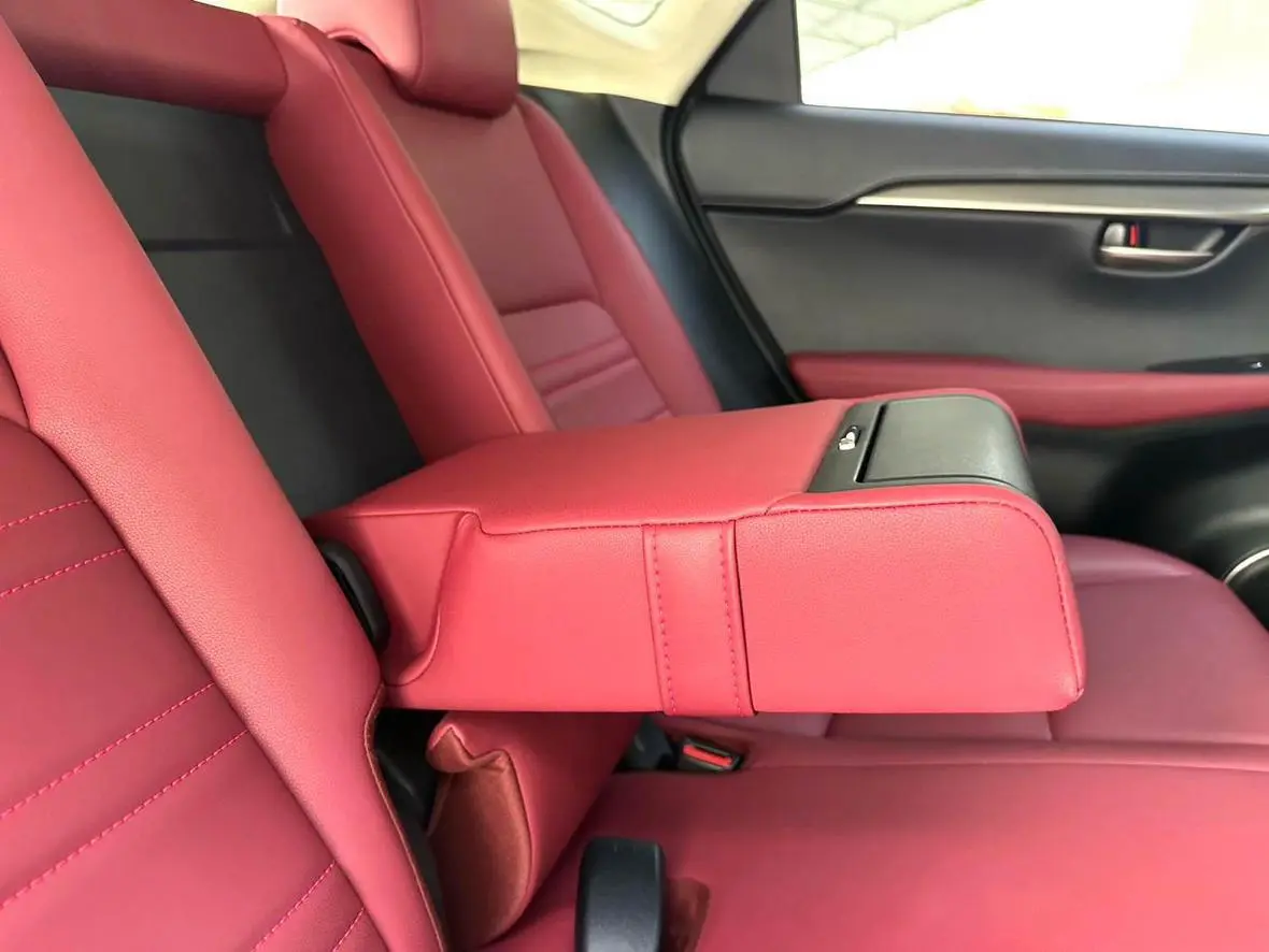 Lexus NX 2020 200 China VI