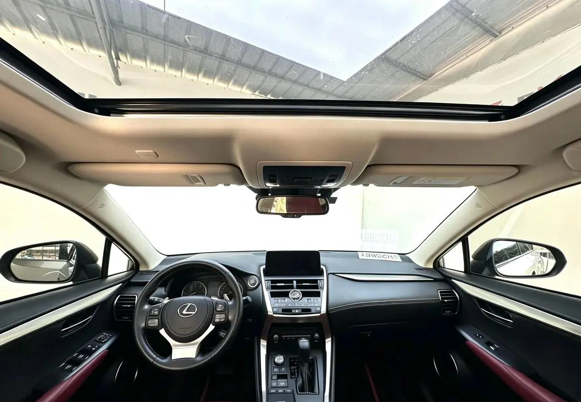 Lexus NX 2020 200 China VI