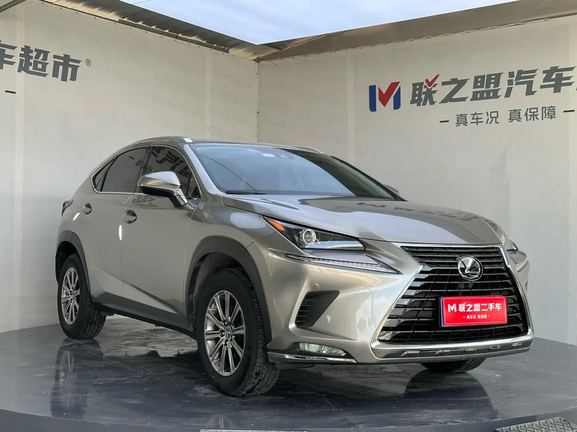 Lexus NX 2020 200 China VI