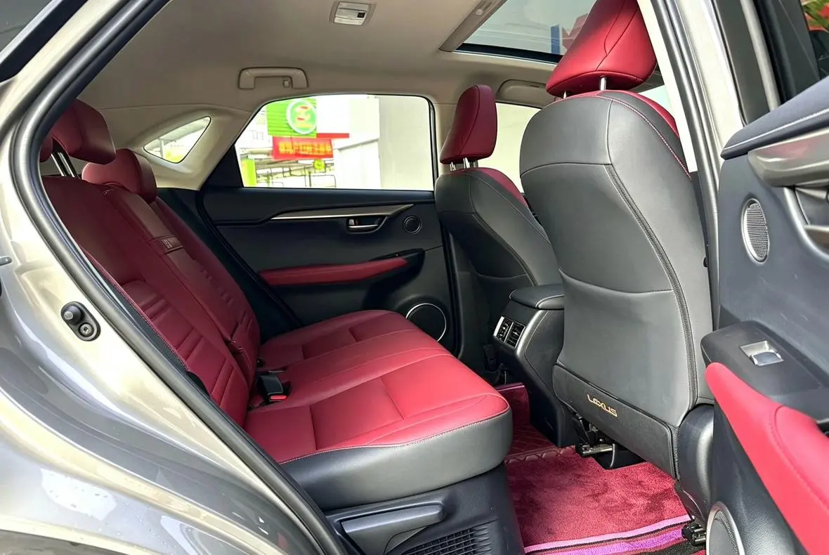 Lexus NX 2020 200 China VI