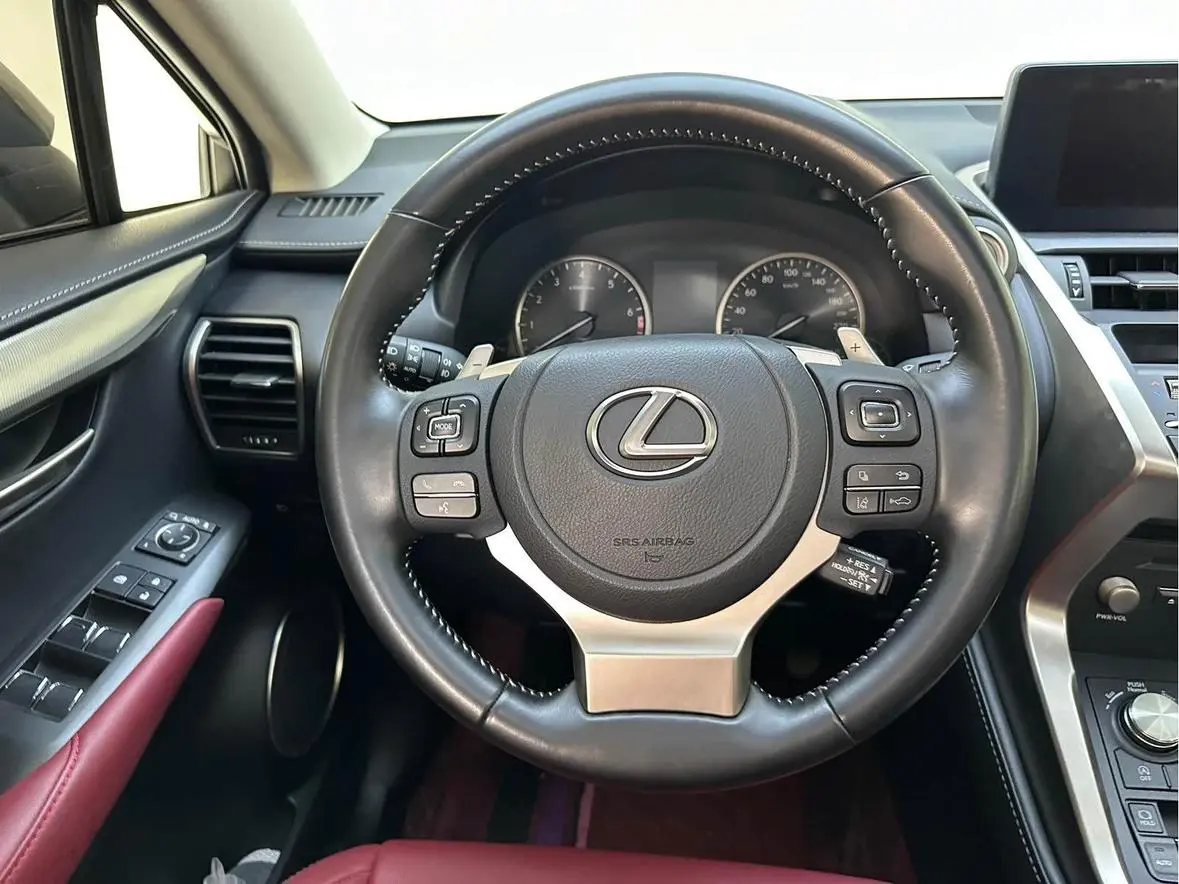 Lexus NX 2020 200 China VI
