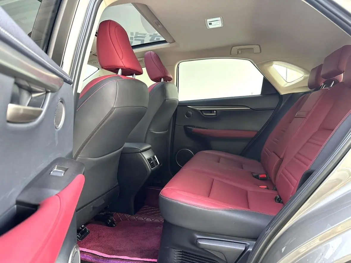 Lexus NX 2020 200 China VI