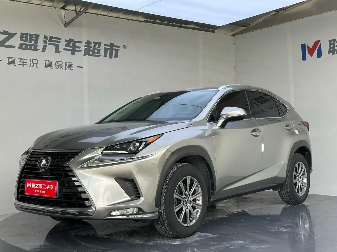 Lexus NX 2020 200 China VI