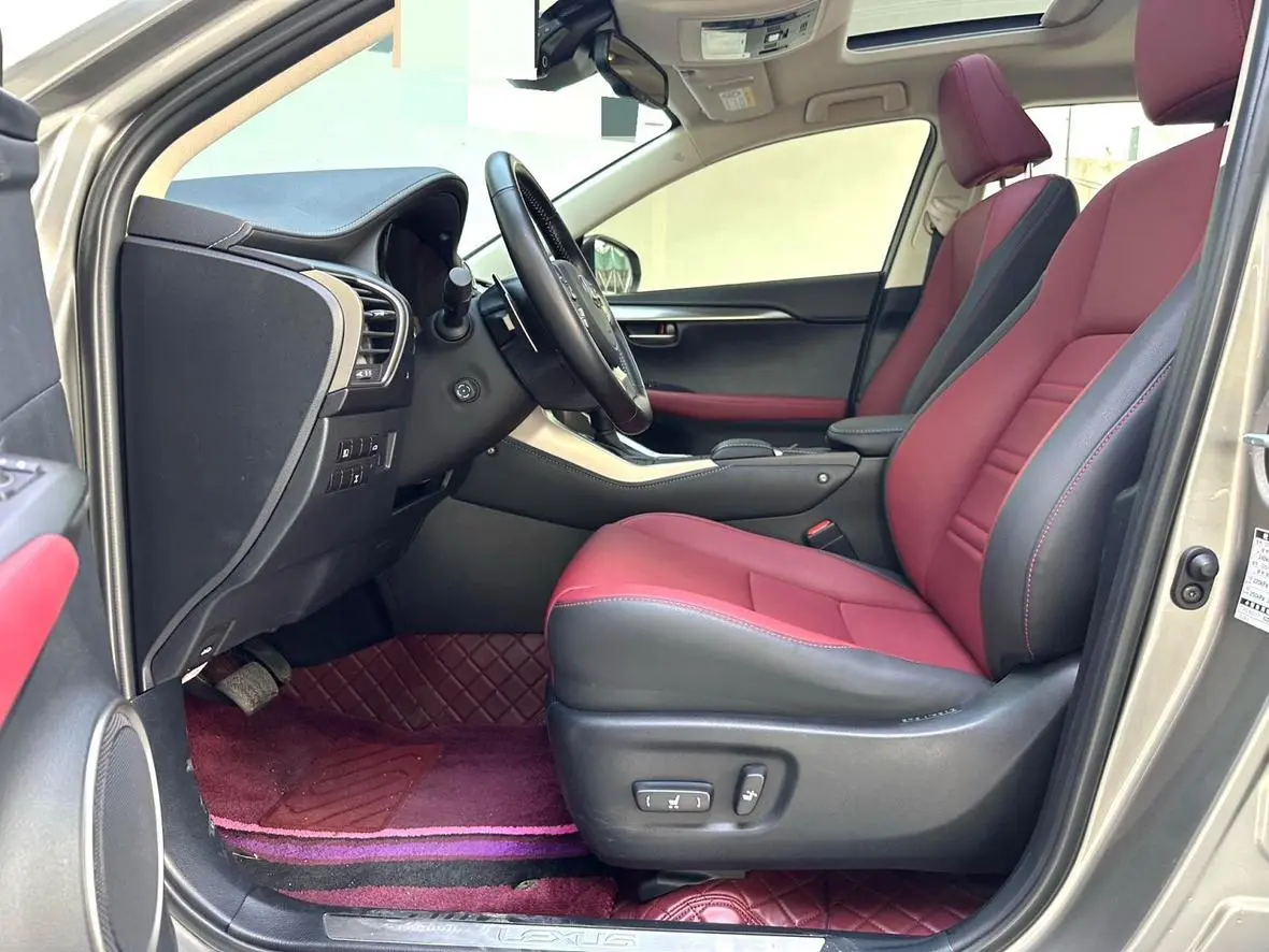 Lexus NX 2020 200 China VI