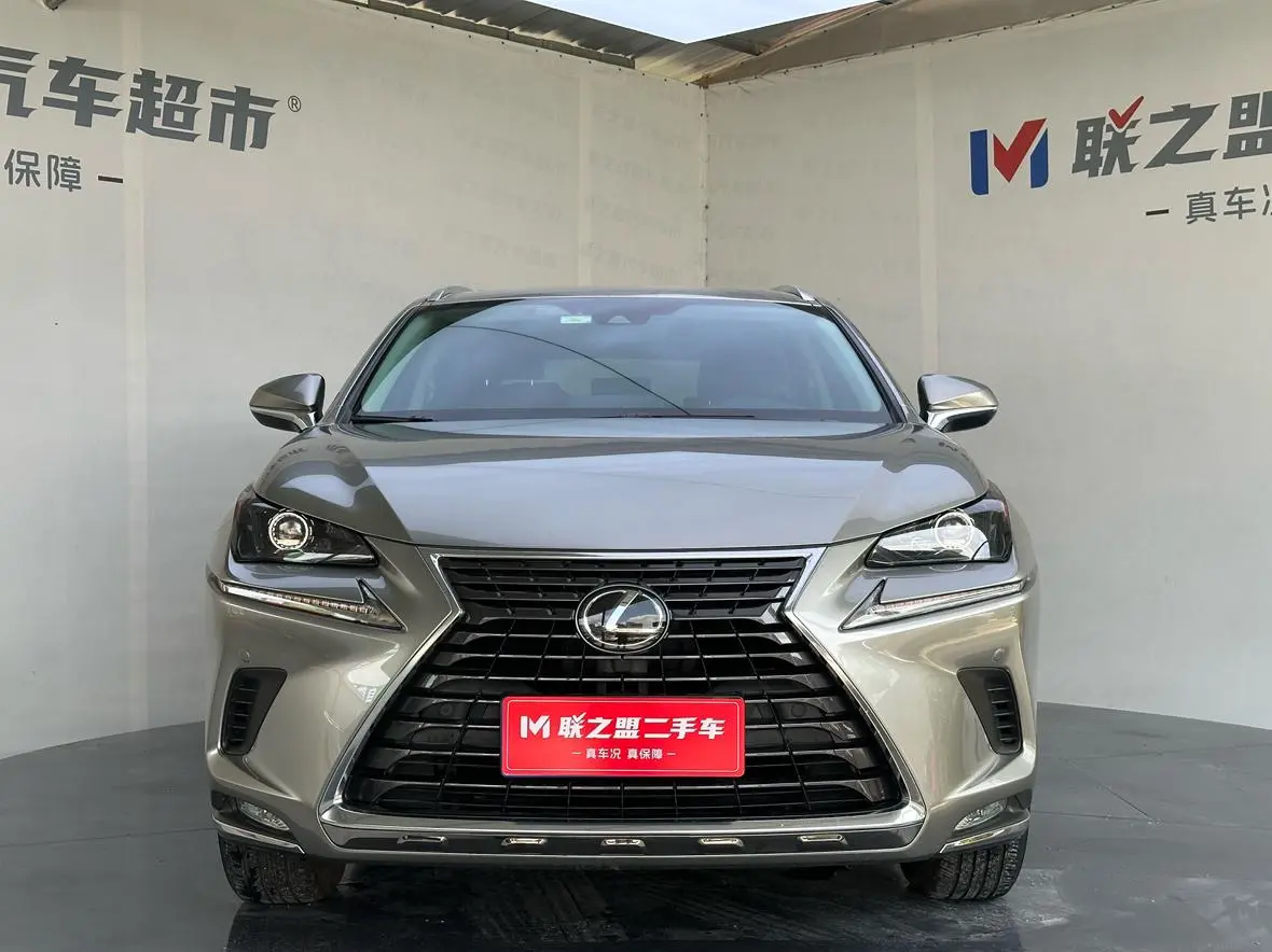 Lexus NX 2020 200 China VI